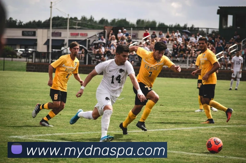 pa真人视讯全站App